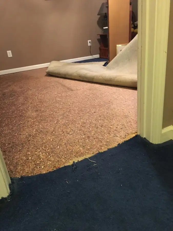 Carpet pad removal revealing water damage during Drying & Dehumidification in Coconut Creek